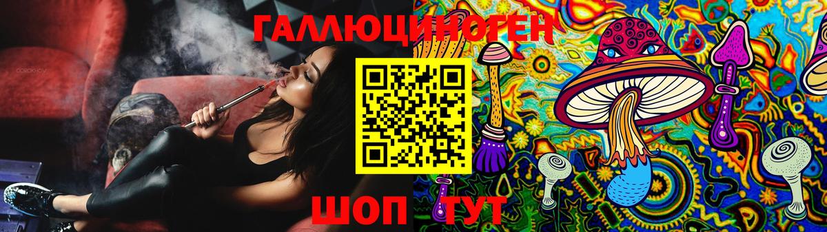 Галлюциногенные грибы GOLDEN TEACHER Гусиноозёрск