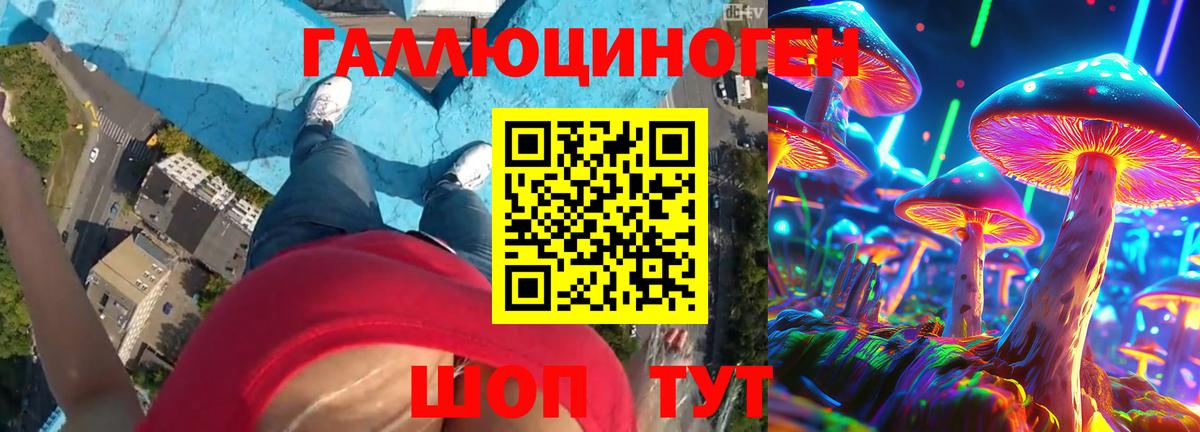 Псилоцибиновые грибы Psilocybe  Вход с VPN  Гусиноозёрск 